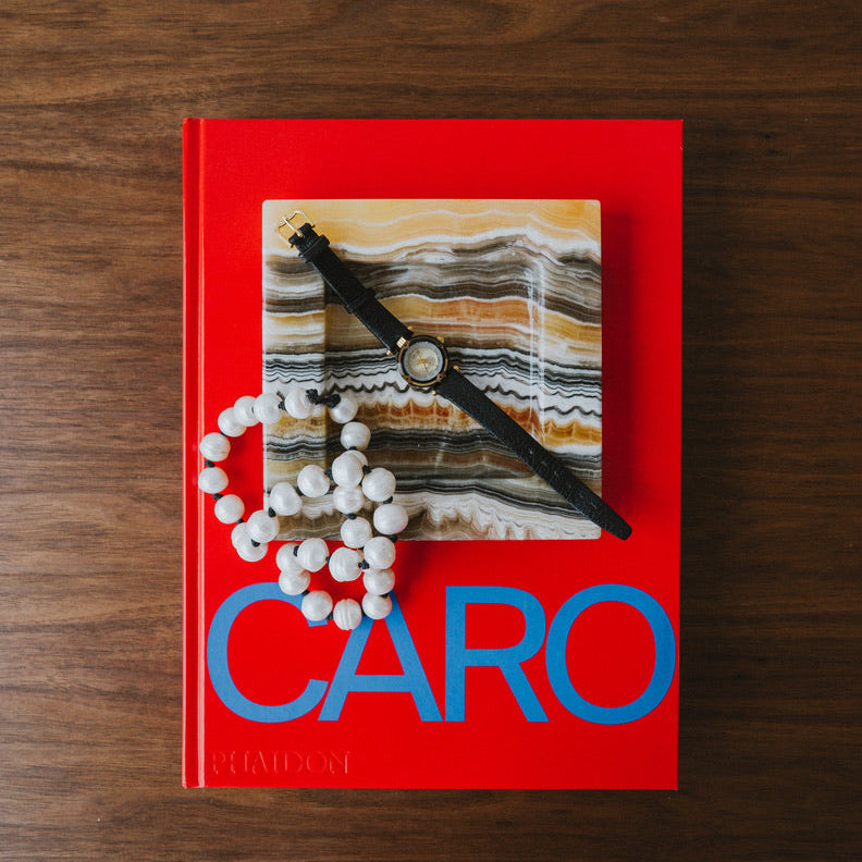 Pañuelo catchall - zebra onyx